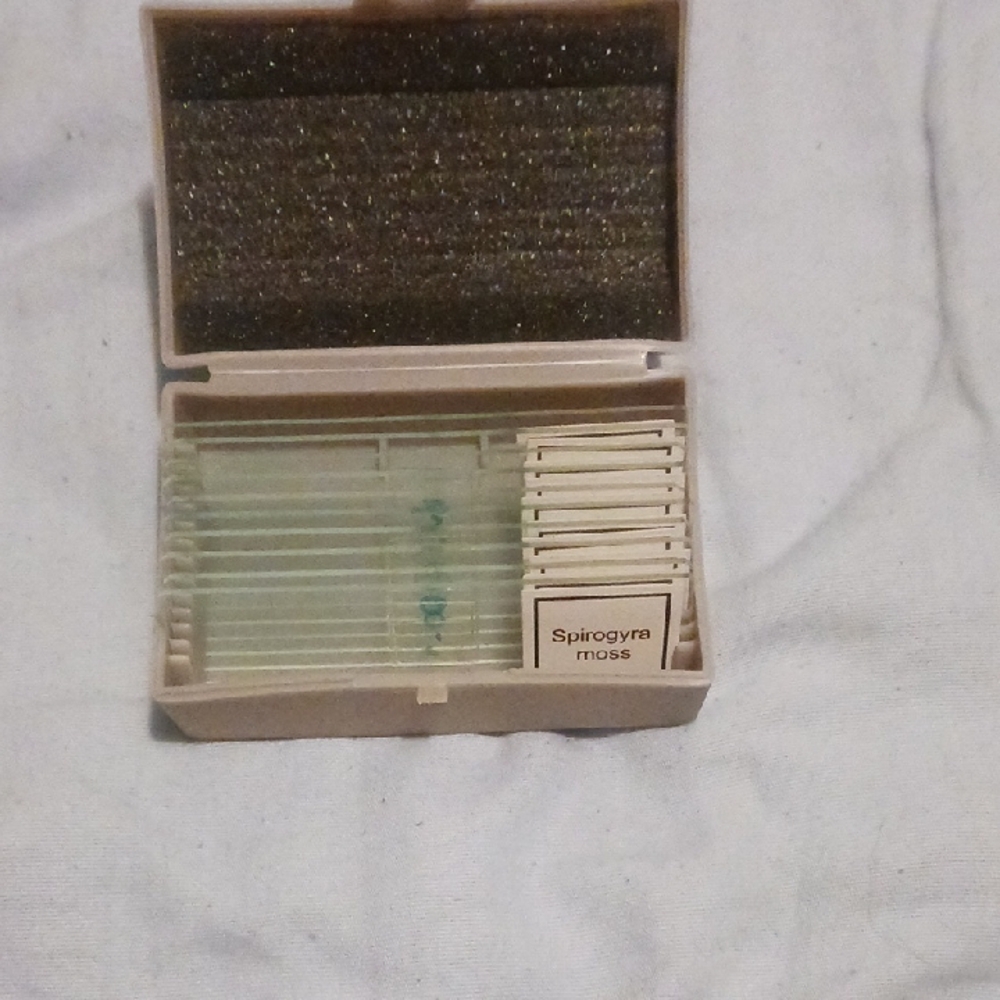 BAMBOO Tan Antique Microscope Slide Storage Box